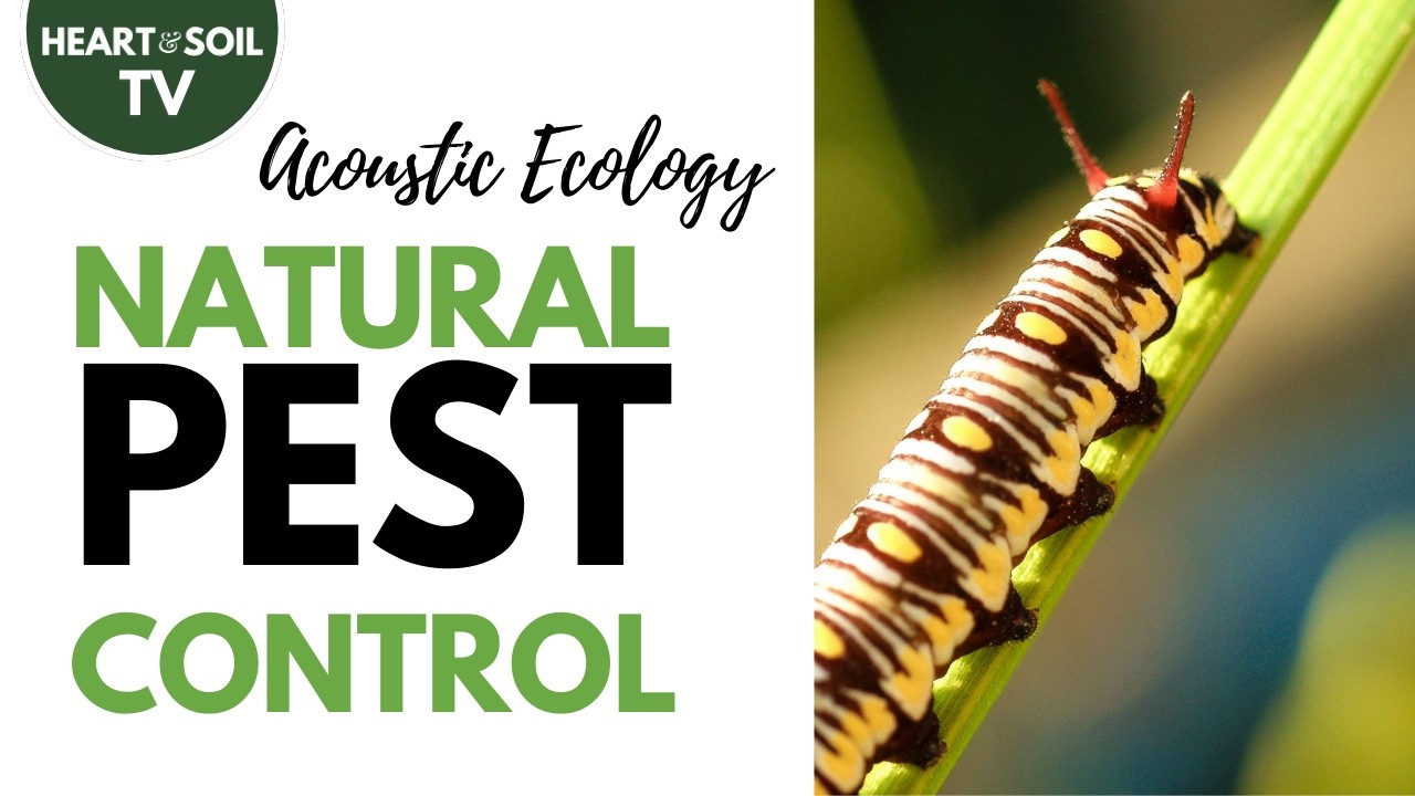Plants' Natural Pest Control | Dr. Heidi Appel, Ecologist #naturalfarming