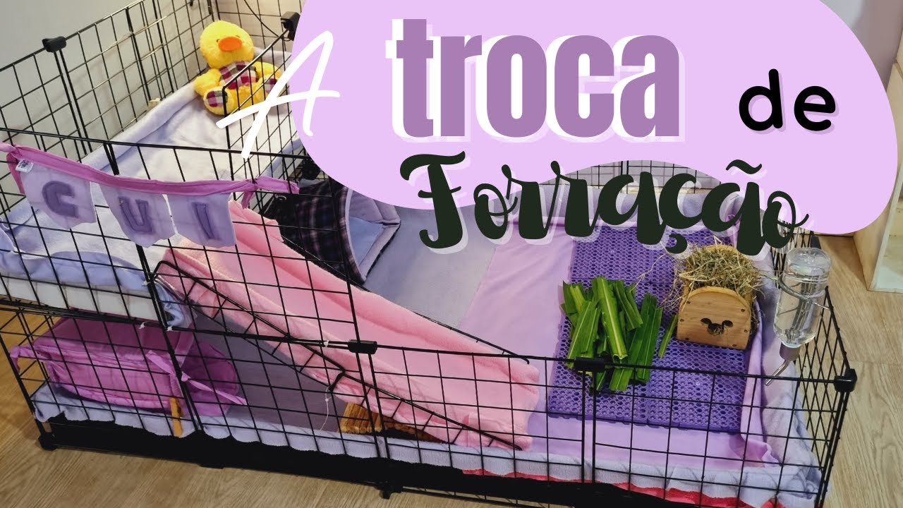 TROCA DE FORRAÇÃO COMPLETA - vem comigo deixar tudin limpinho! :)