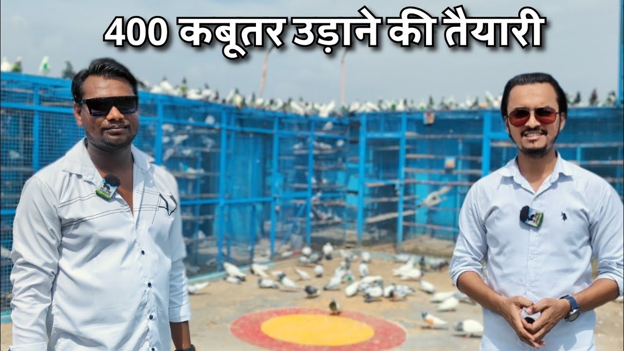 400 Pigeons ki Series | Chandan Bhai ka Grand Loft | The Home Sanctuary