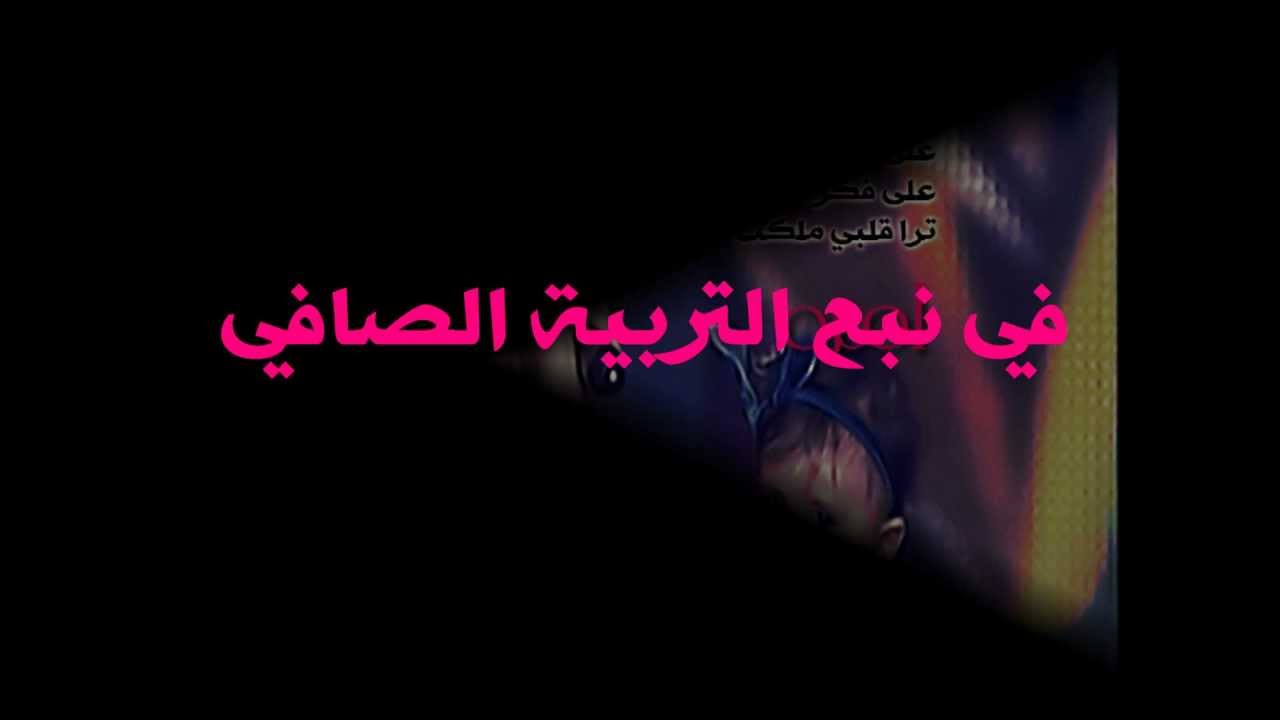 مدرستي ايا صرحا عالي.wmv