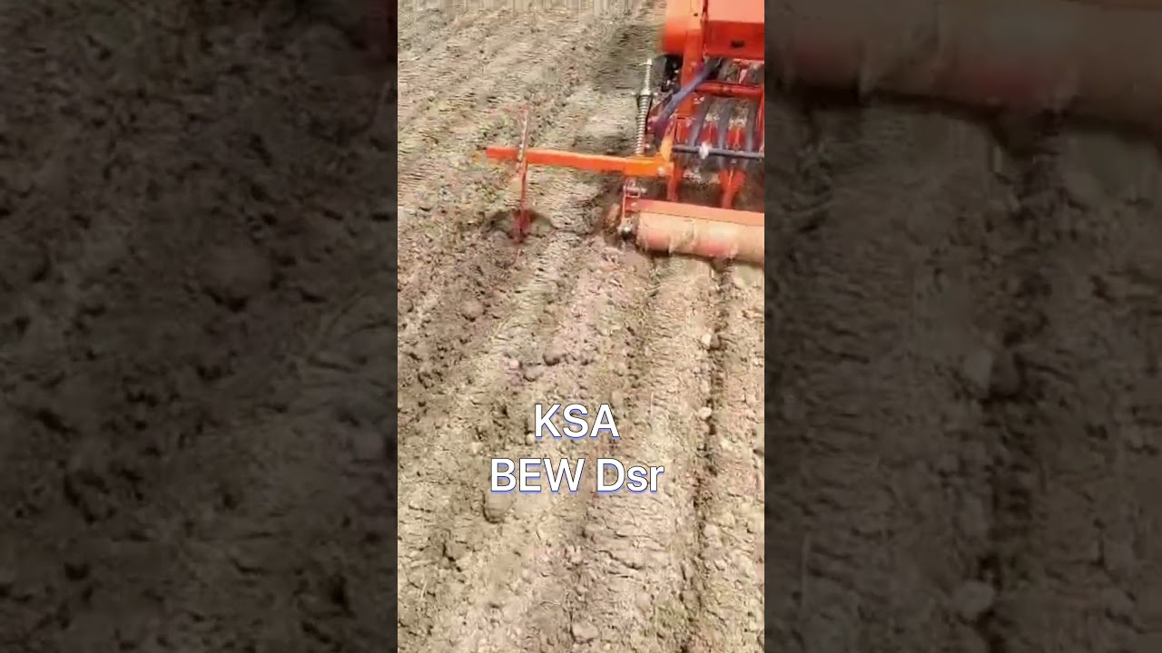 KSA | BEW Dsr Step seeder | Multicrop Seeding Machine | Direct Seeding