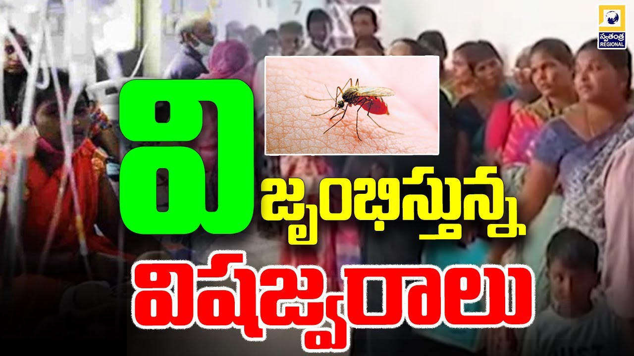 కడప జిల్లాలో విషజ్వరాలు |Toxic fever in Kadapa district | Swatantra Tv |