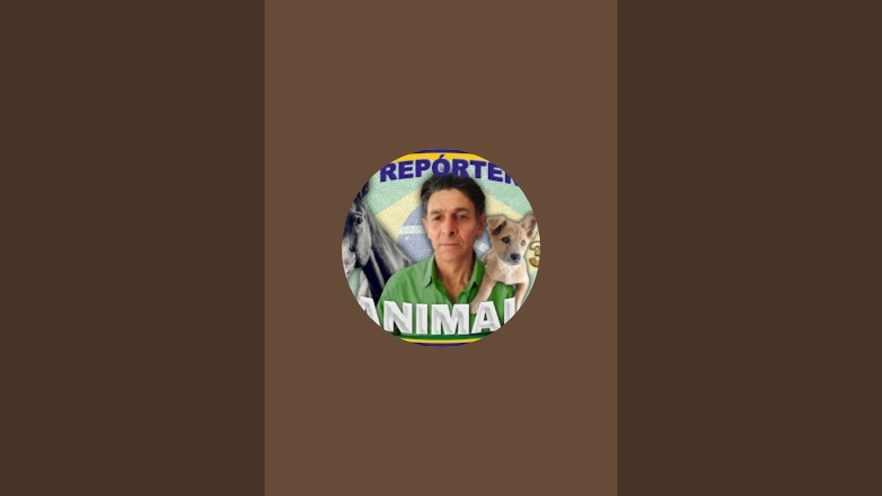 REPORTER ANIMAL está ao vivo!