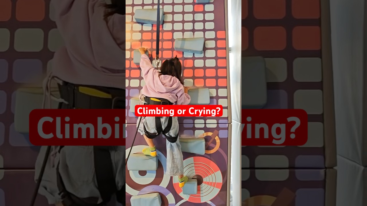 Ending with crying. #twinslife #twinsshorts #twins #kids #kidsshorts #playstation #climbing