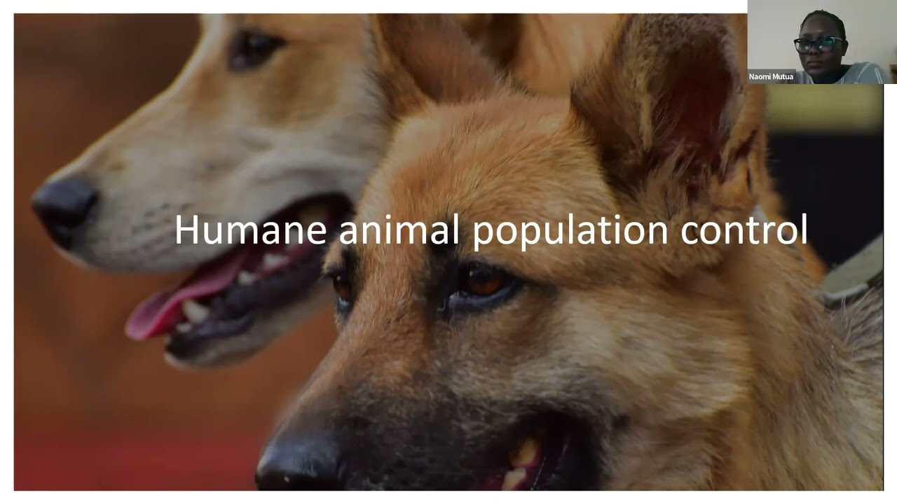 The Paw'dCast Kenya - Episode 1: Importance of Spay & Neuter for Cats and Dogs