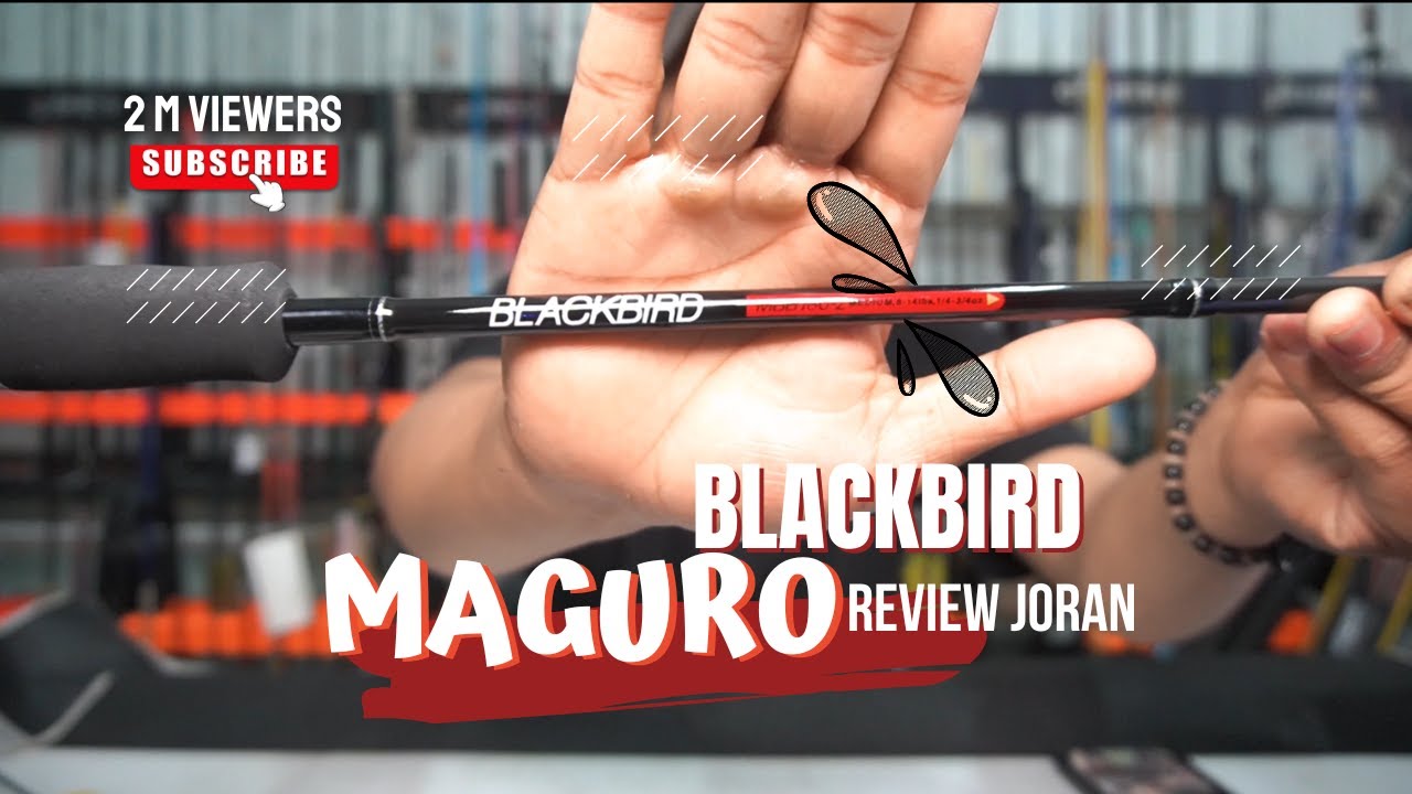 REVIEW JORAN HARIAN MAGURO BLACKBIRD