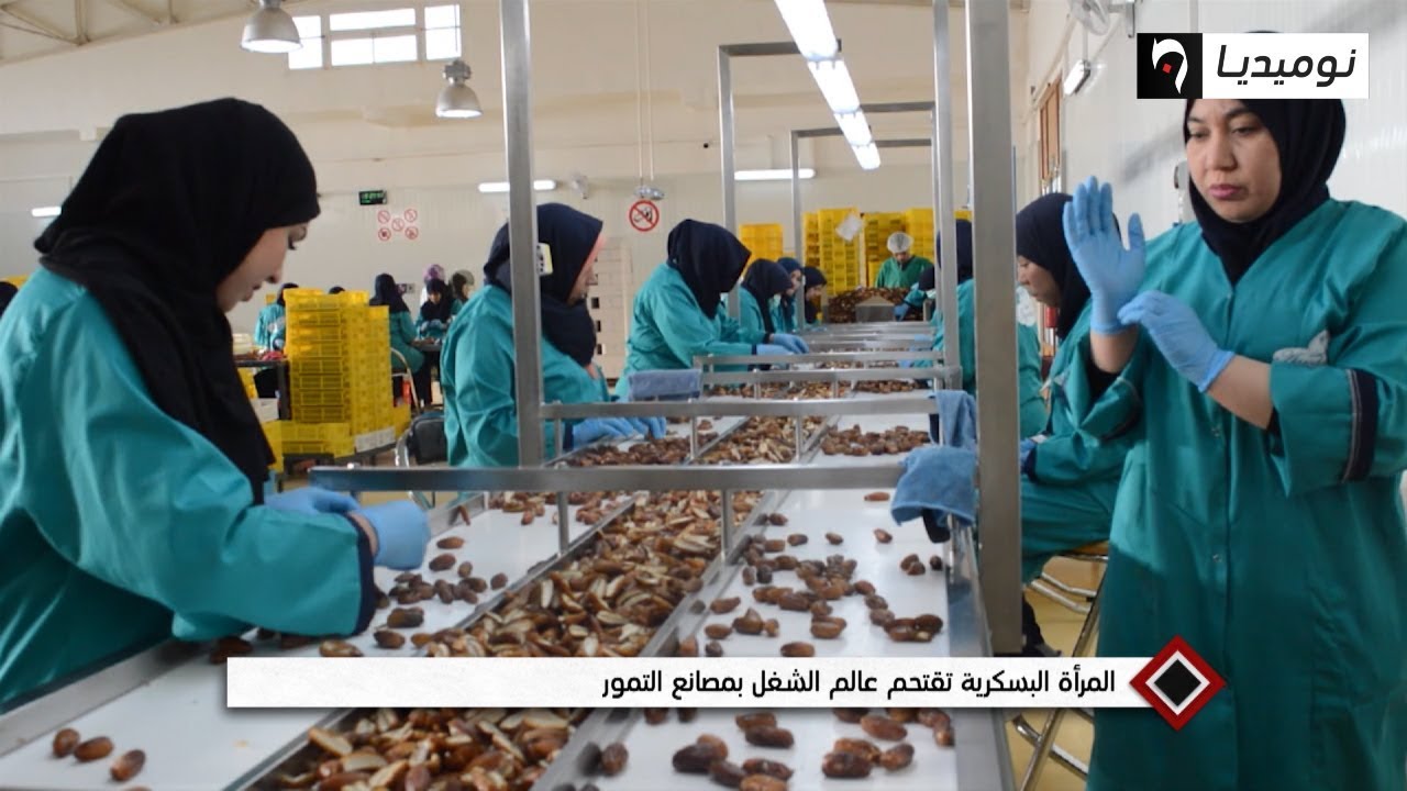 شاهد.. المرأة البسكرية تقتحم عالم الشغل بمصانع التمور