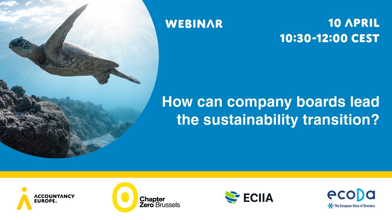 How can company boards lead the sustainability transition?