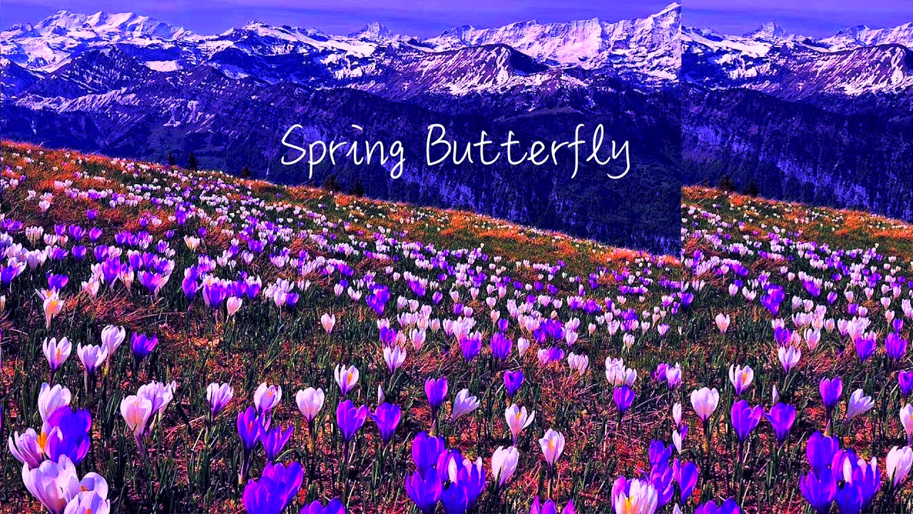 [FREE] 808 MIDI Kit 2021 - Spring Butterfly