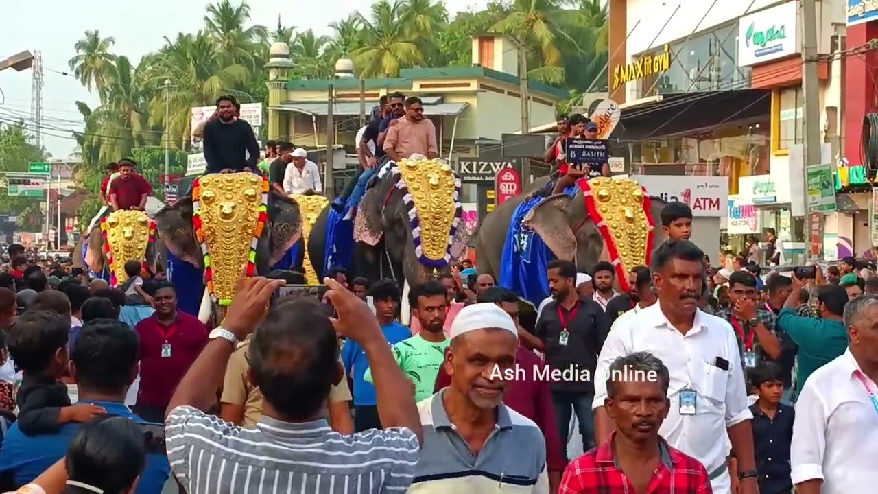 പുതിയങ്ങാടി നേര്‍ച്ച 2024 | BP Angadi nercha | Tirur puthiyangadi nercha 2024