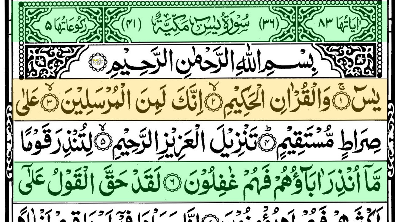UntitledSurah Yaseen Surah Ar Rahman | Best Quran Recitation | Surah Yasin Tilawat | Episode_002