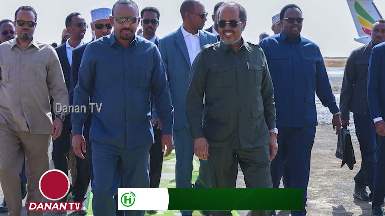 WARKA HABEEN TV