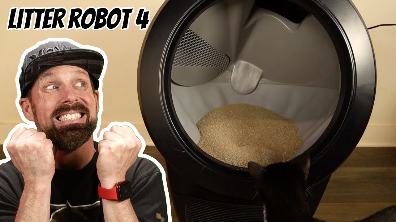 Litter-Robot 4 Review: Is This the Ultimate Cat Litter Solution?