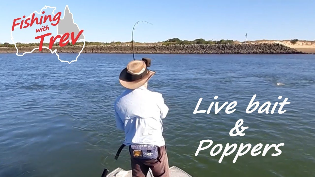 Fishing with live bait and Poppers