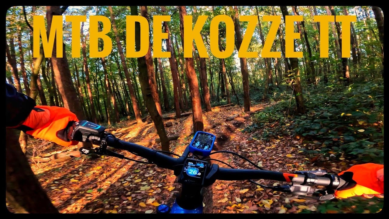 MTB De Kozze TT 66km @ Langdorp // Cube Stereo hybrid 140A