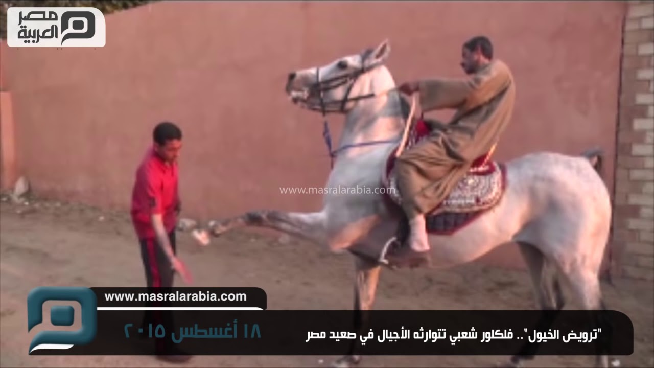 مصر العربية | 