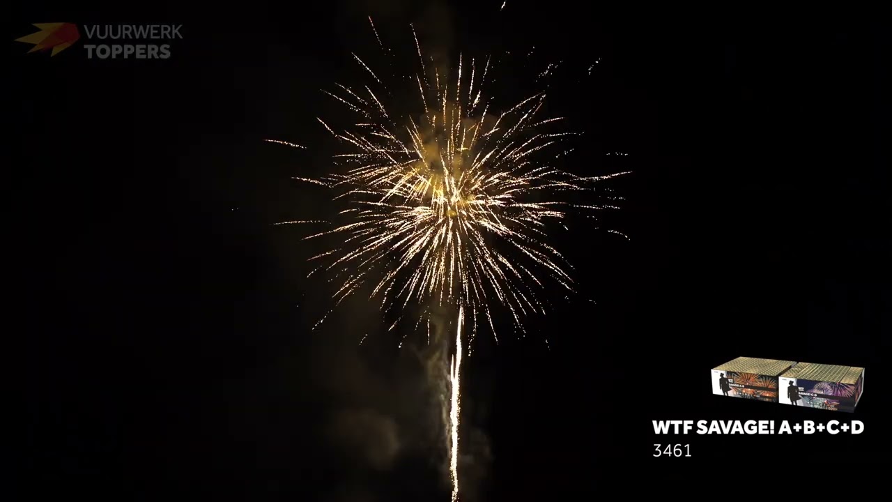 WTF! Savage! - Busscher Vuurwerk Hengelo