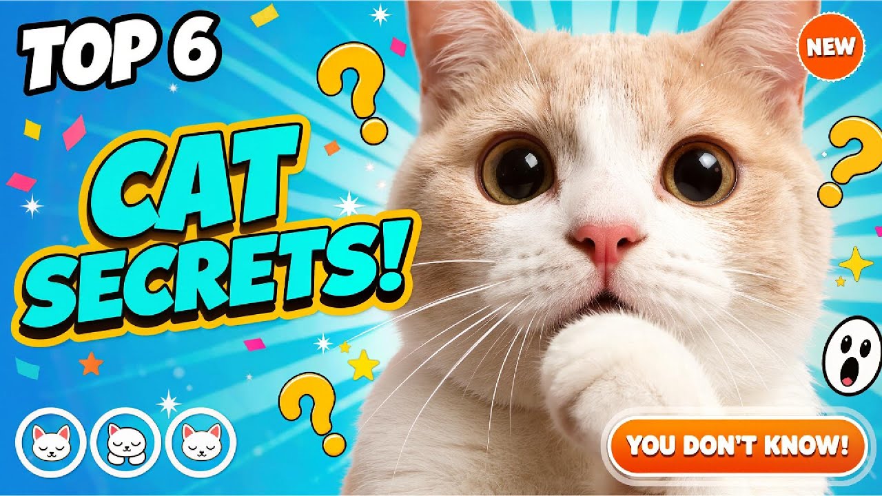 6 Insane Cat Facts That Will Shock You