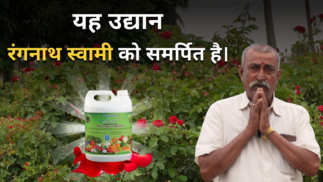 देवनहल्ली किसान का चौंकाने वाला परिणाम | 49 किलो फूल! | डॉ. सॉइल के बाद मिट्टी में फिर से केंचुए!