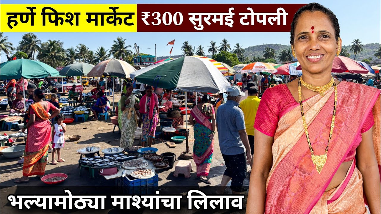 हर्णे फिश मार्केटला मिळते सुरमईची टोपली फक्त ₹300 रू. || Harnai Fish Auction