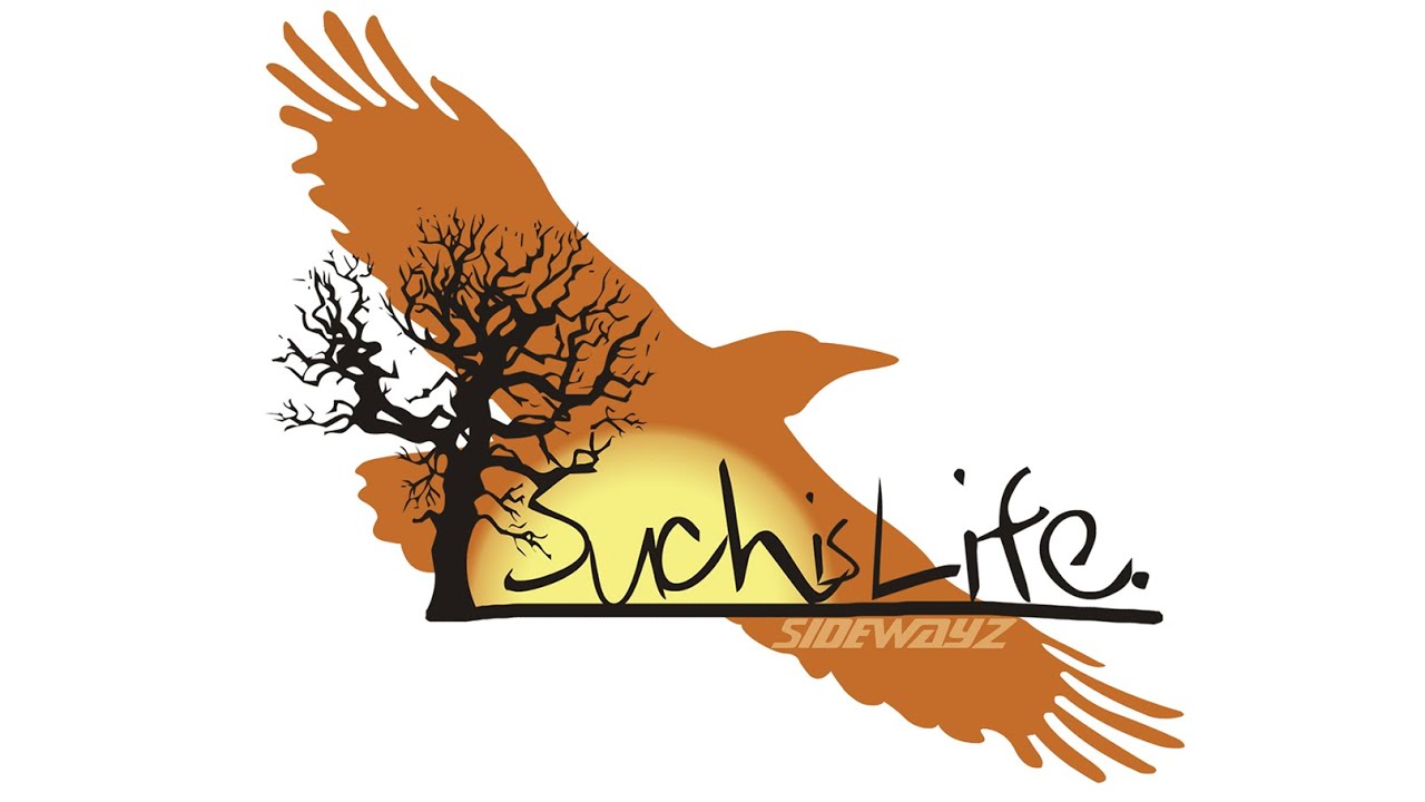 Such is Life - Wakeboard Film