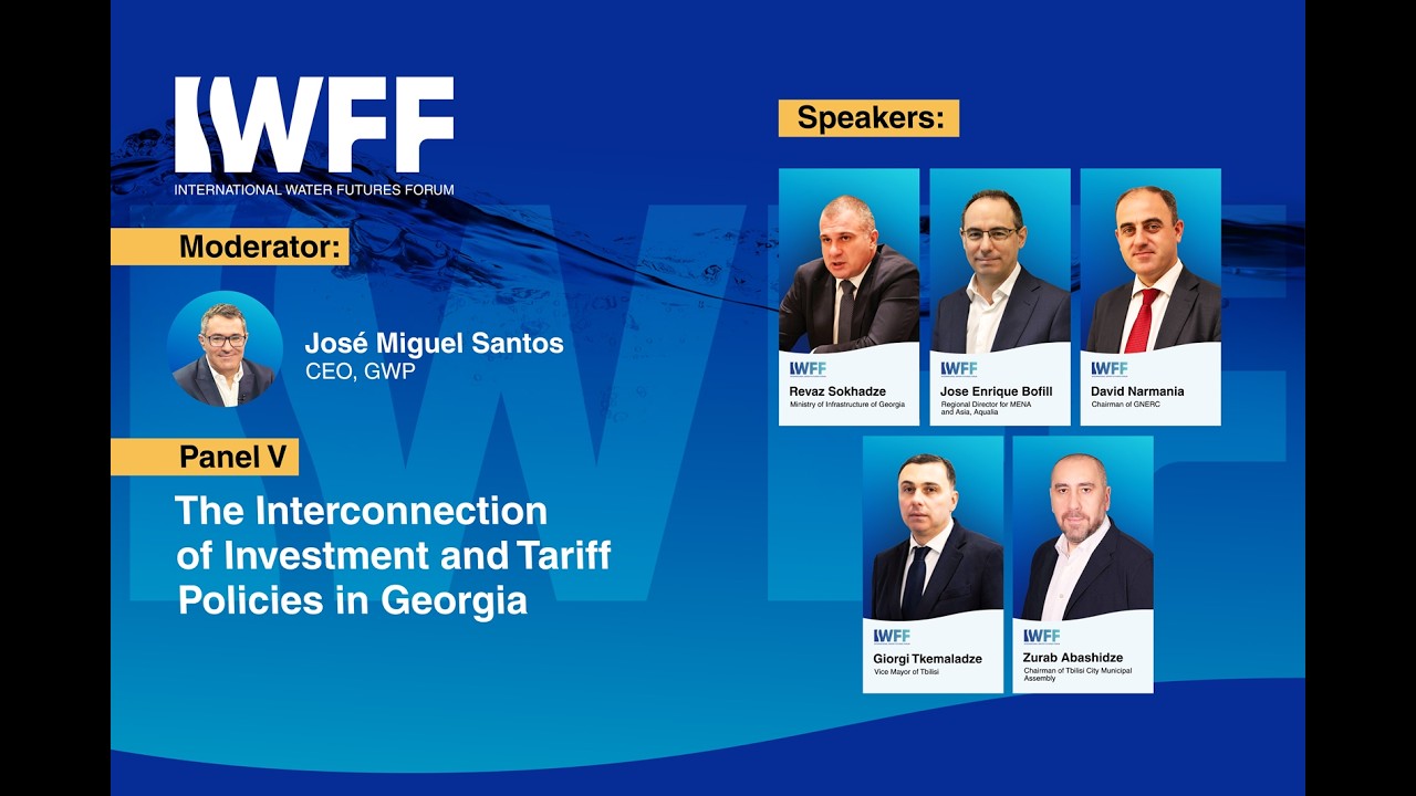International Water Future Forum - PANEL V