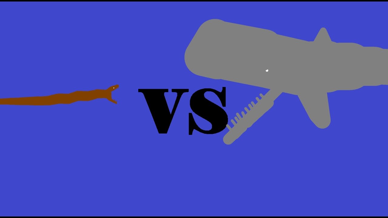 Cachalote Vs Anaconda