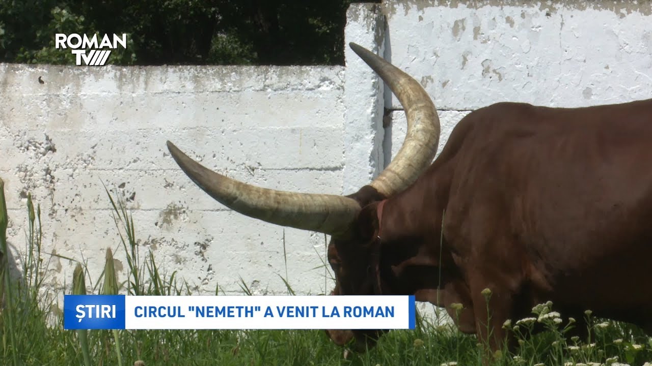 Circul „Nemeth” a venit la Roman