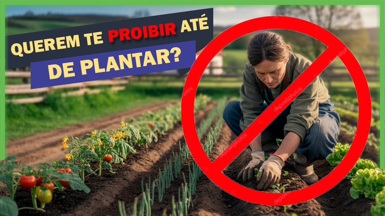Por que a ELITE GLOBAL quer te pribir de plantar sua própria comida?