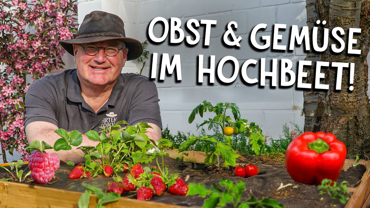 Hochbeet anlegen: So erntest du das ganze Jahr über Gemüse zum Naschen!