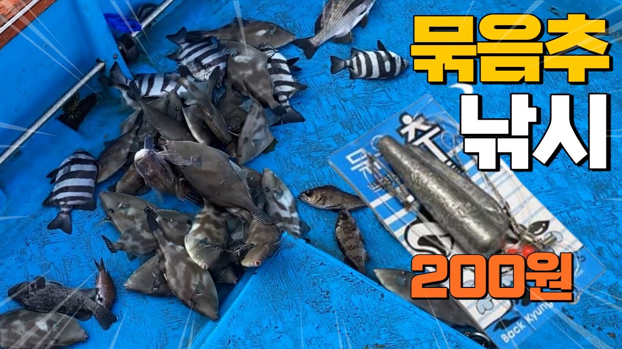 200원짜리 묶음추를 들고 섬에 가면 생기는 일...?그만 잡고 싶다!!!