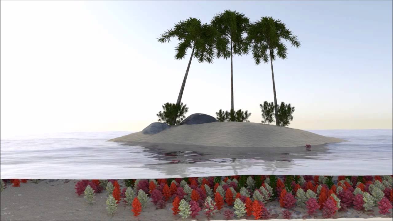 Island Project Redone