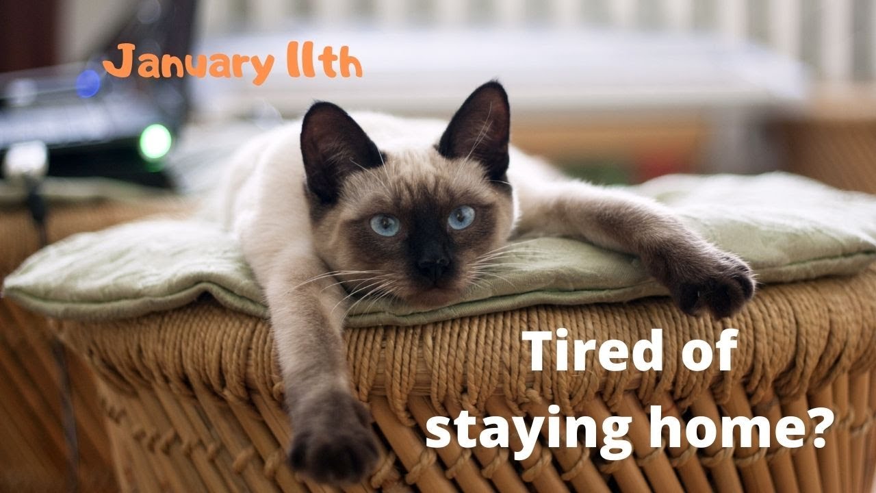 Staying Home, January 11th with Subtitles in English, Portuguese, and Spanish.