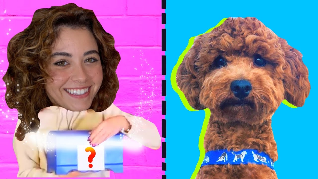 Keyf Seçiyor - Melih'in Köpeği Ne Yiyeceğimize Karar Verdi