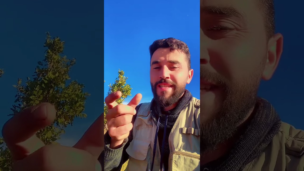 جيروك. رئفي چونا حة جي🤔🤝😁