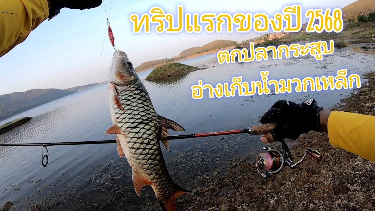 ตกปลากระสูบอ่างมวกเหล็ก ทริปแรกของปี2568 #fishing #ตกปลา @O.PFishing #ตกปลากระสูบ