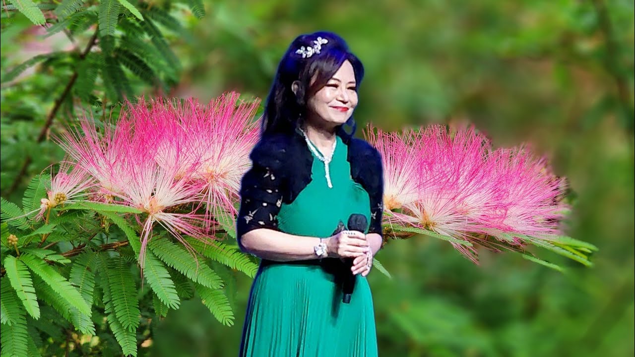 Wendy Lam🎶🎼🎤~音樂共享〈冷冷的秋〉鬼鬼馬馬開心show-鬼馬雙星之友社主辦(上環文娛中心劇院)-2025.05.07(N)