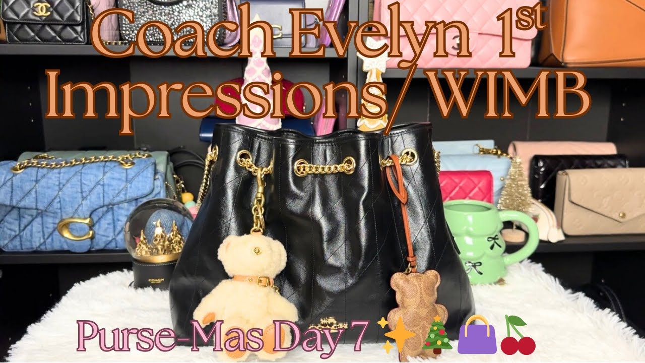 🍒Первые впечатления от сумки Coach Evelyn Bag WIMB | День 7 на Рождество с сумочкой ✨🎄 #vlogmas #...