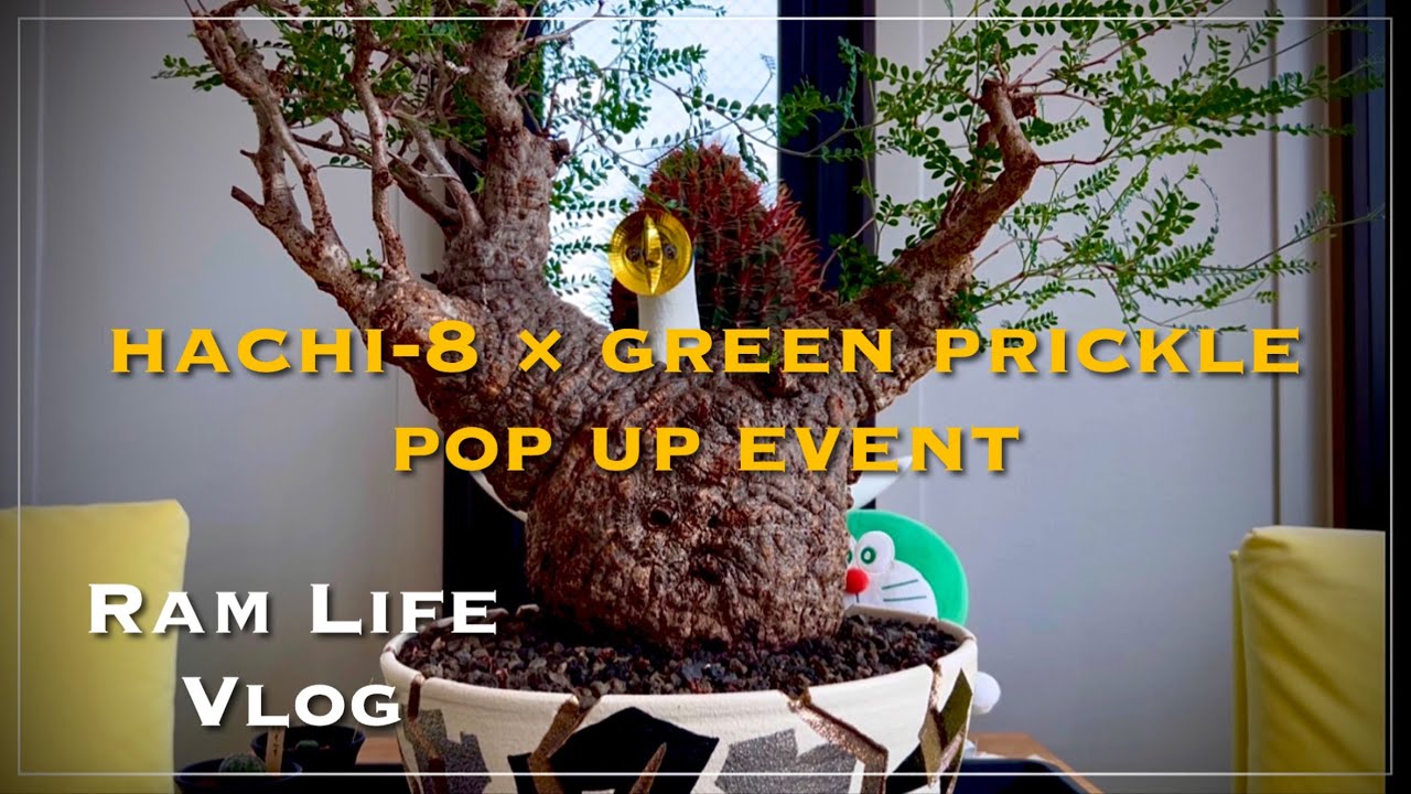 植物好きのPOP UPイベント散策/陶器鉢専門店×ビザールプランツ雑貨専門店/アガベ・塊根植物・作家鉢