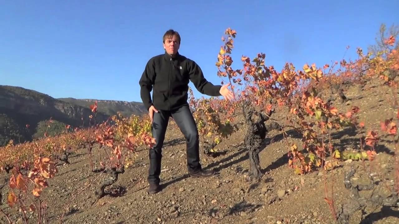 Presentación de Vino Scala Dei