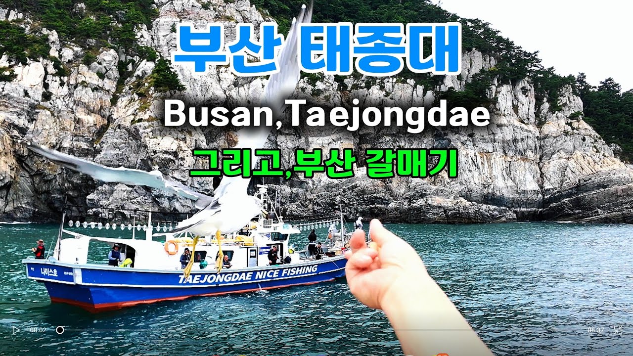 부산 태종대,영도등대,그리고 부산갈매기