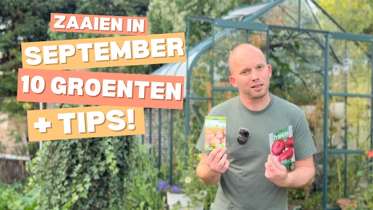 Wat kun je zaaien in september? 🌱 10 groenten + groenbemester voor herfst & winter | De Moesketier
