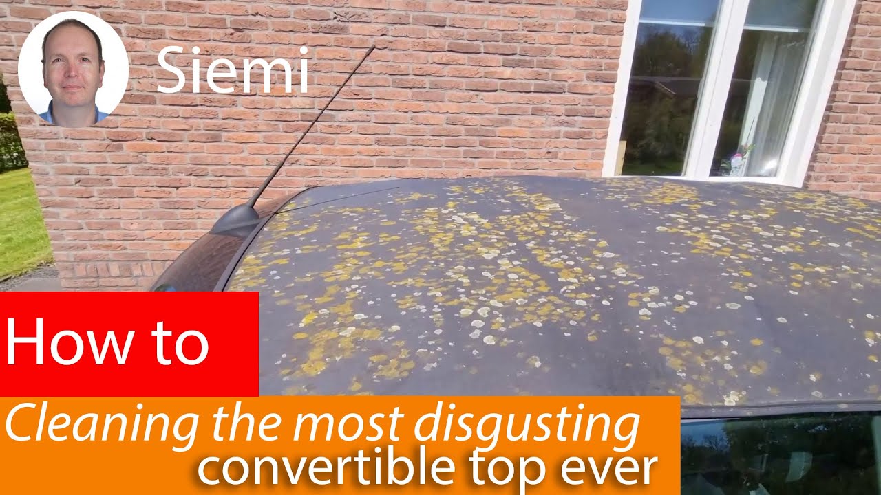 Cleaning the most disgusting convertible top ever on a Mini Cooper S R52