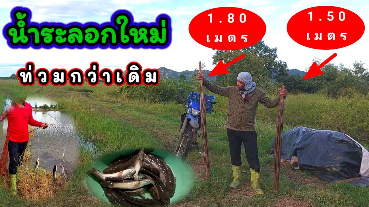 น้ำท่วมนาระลอกใหม่ ต้องไช่เบ็ดใหญ่ยาวกว่าเดิม 