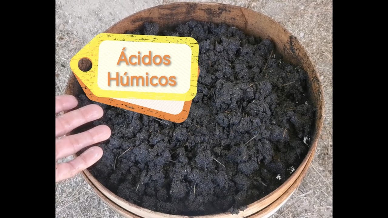 🧪 Acidos húmicos y Acidos fúlvicos. Receta de calidad para un suelo vivo y orgánico 🥦