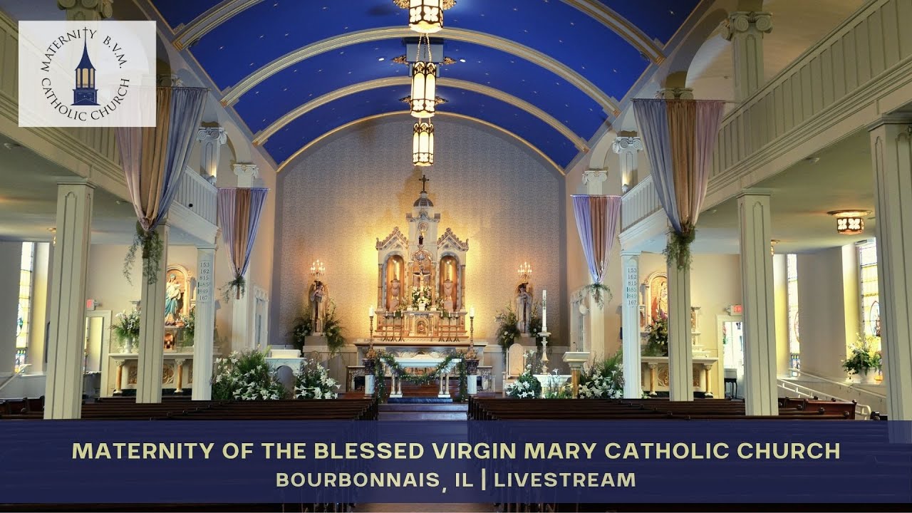 February 8, 2026 | Sunday Mass