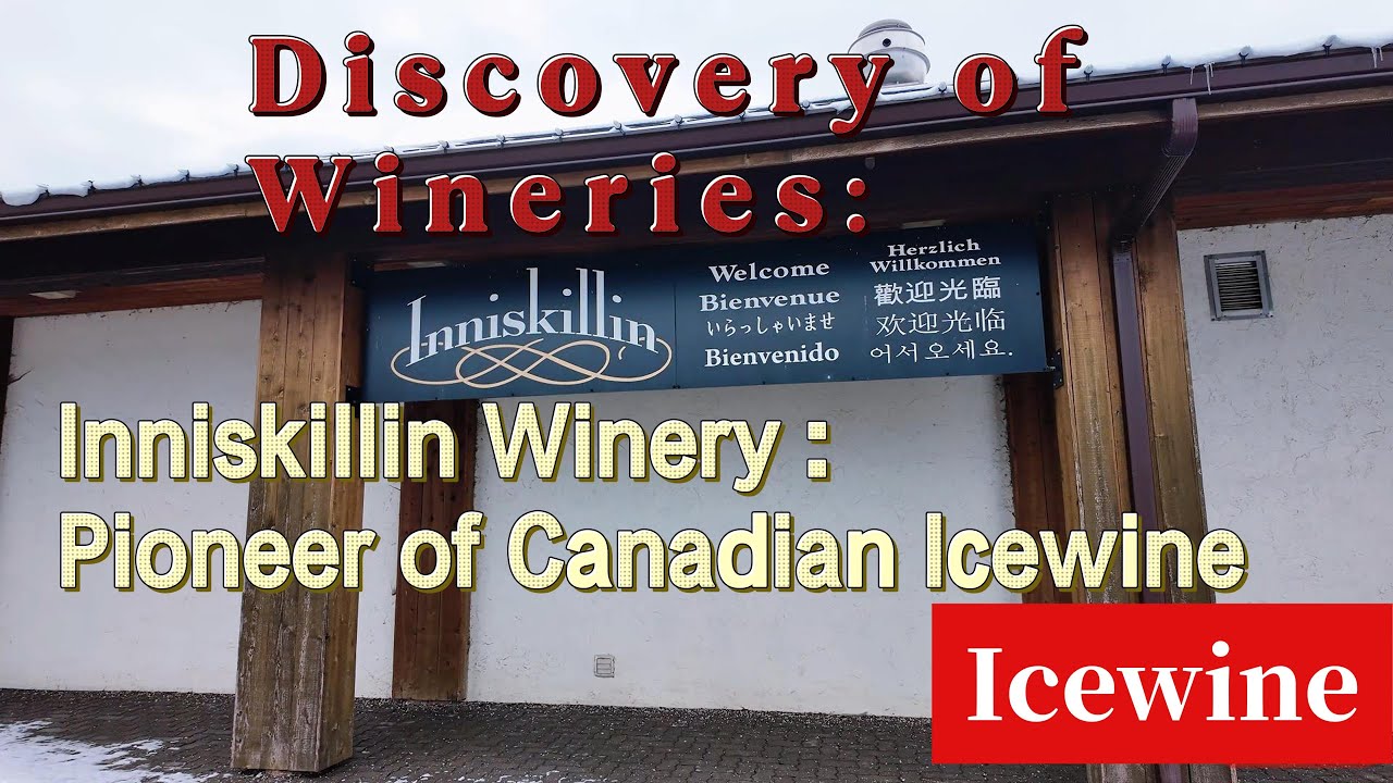 Discovery of Wineries | Inniskillin winery Canada | sparkling icewine | pioneer of Canadian icewine.