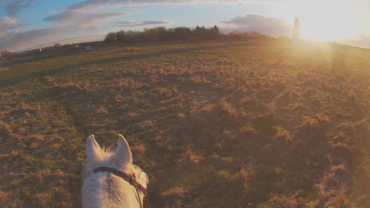 Riding My Horse (Kitta) Through the Sand Dunes
