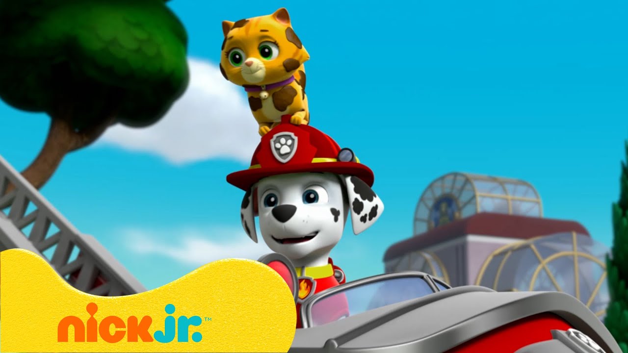 Patrulha Canina Resgata Animais Fujões! | Nick Jr. em Português