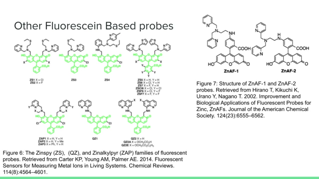Small-Molecule Fluorescent Sensors for Investigating Zinc Metalloneurochemistry
